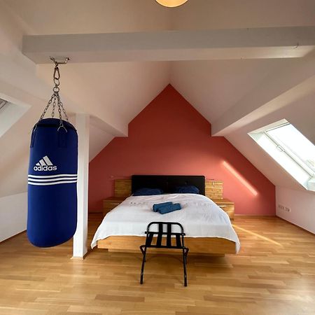 Apartmán Loft Mit 2 Terrassen - Ruhig&Sonnig Lipsko Exteriér fotografie
